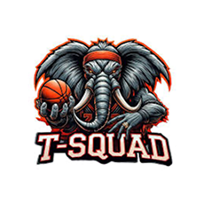 T-Squad