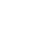 Naiza