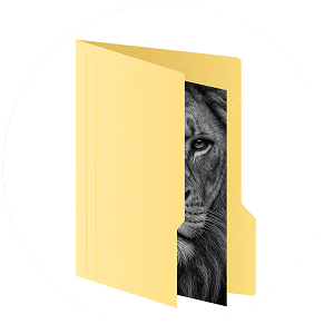 Мемы читателей